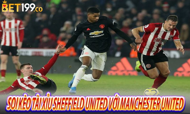 Soi kèo tài xỉu Sheffield United với Manchester United 